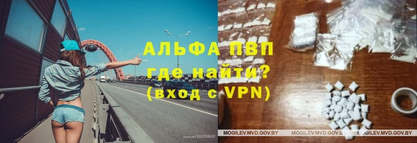 индика Вязьма