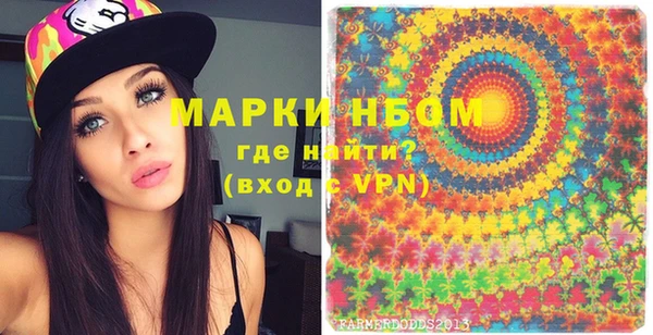 индика Вязьма