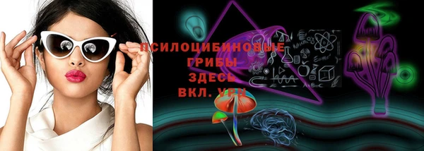 индика Вязьма