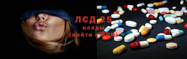 PSILOCYBIN Верея