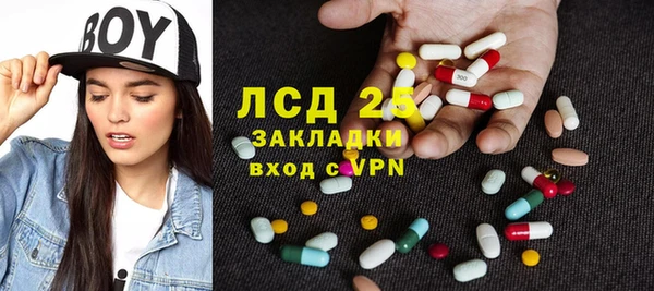 индика Вязьма