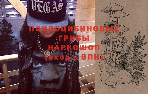 прущая мука Вяземский