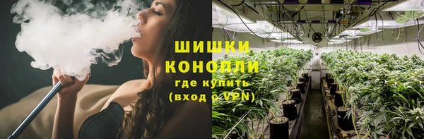 прущая мука Вяземский