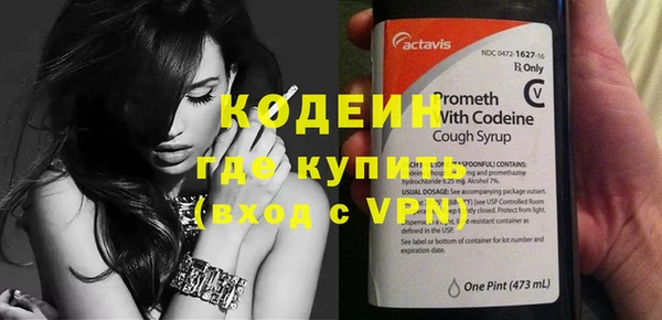 индика Вязьма