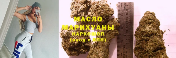 индика Вязьма
